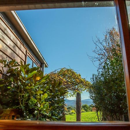 Vivere Retreat Neerim South Exteriér fotografie